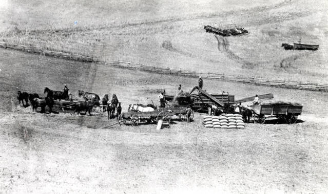 Horsepower threshing on the Silas Imbler farm 1886